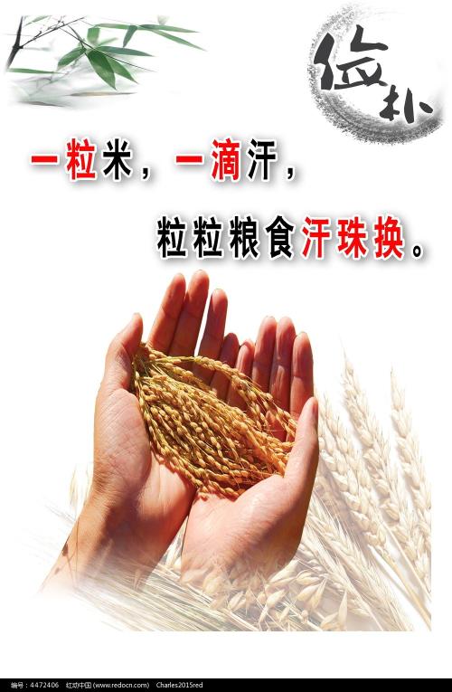 科罗拉多大学科罗拉多泉分校环境科学学位证书